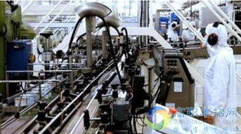 煙臺職業學院單招熱門專業解析與信息系統運行維護服務專業前景展望